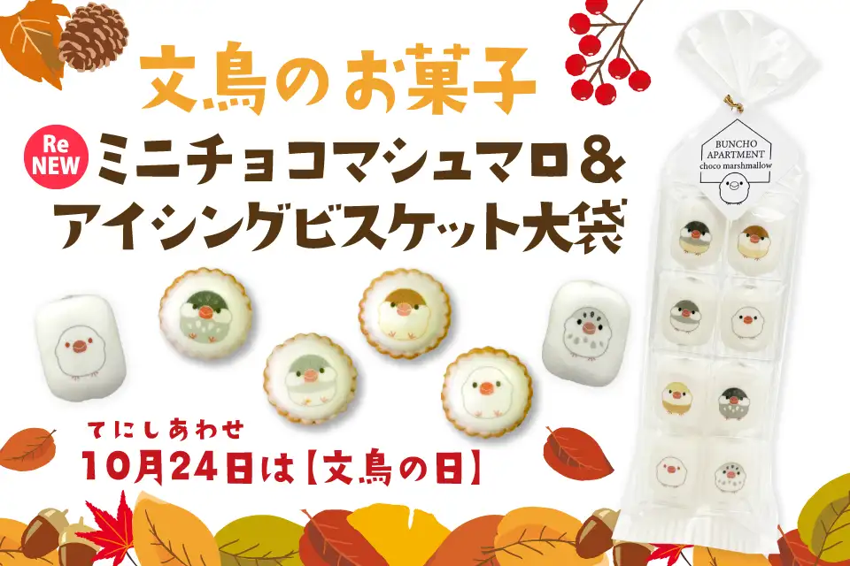 文鳥のお菓子 大特集／カラフルゼリー大袋・ミニチョコマシュマロ・アイシングビスケット大袋