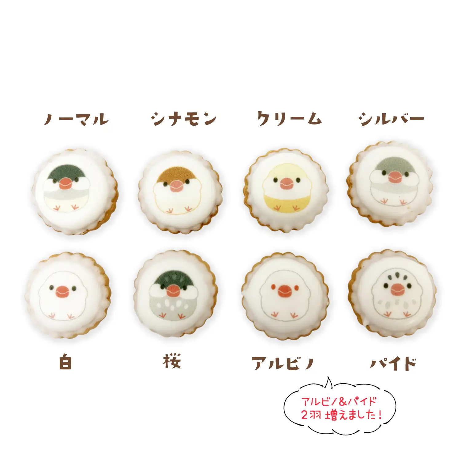 お配り用 大袋「文鳥アイシングビスケット」210g（約60粒）