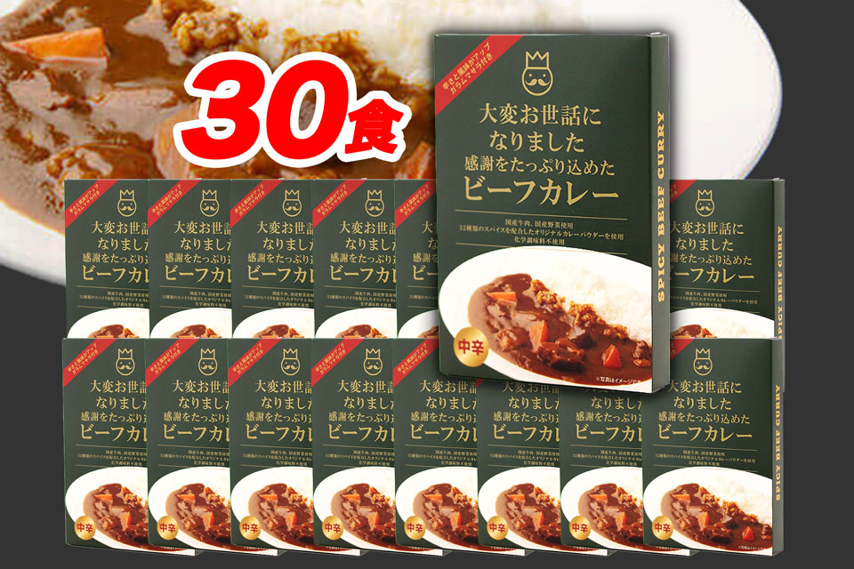 メッセージカレー「大変お世話になりました」まとめ買いお得30個セット