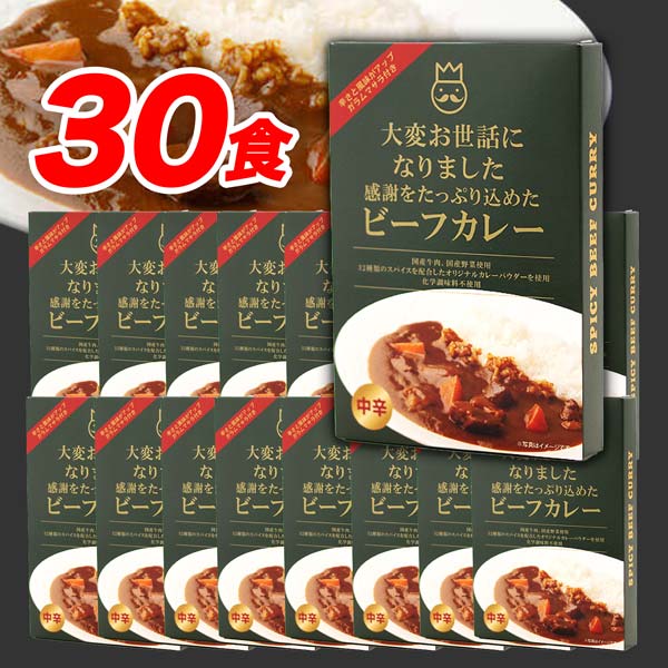 メッセージカレー「大変お世話になりました」まとめ買いお得30個セット
