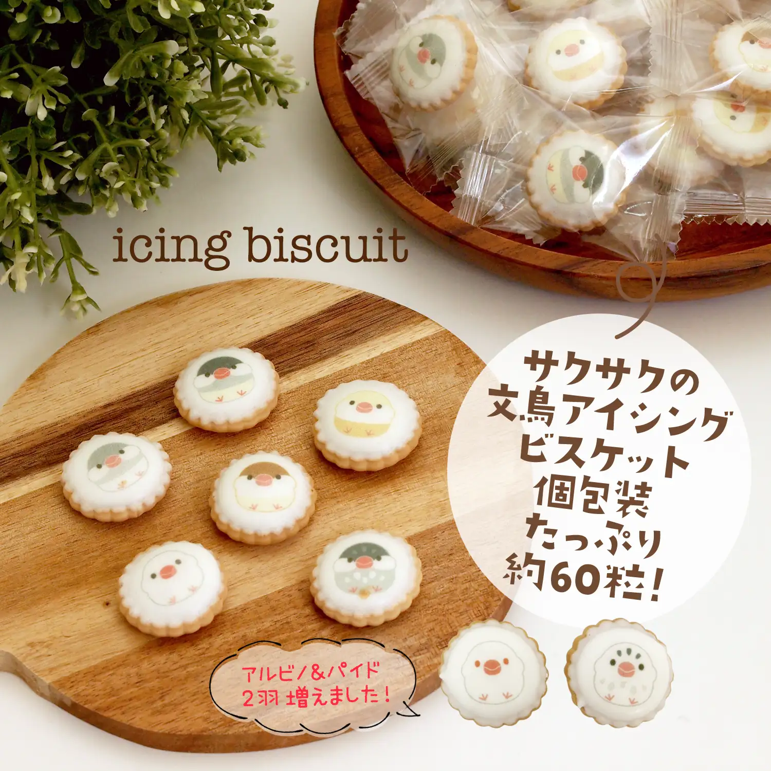 文鳥のお菓子　大特集／ミニチョコマシュマロ・アイシングビスケット大袋_03